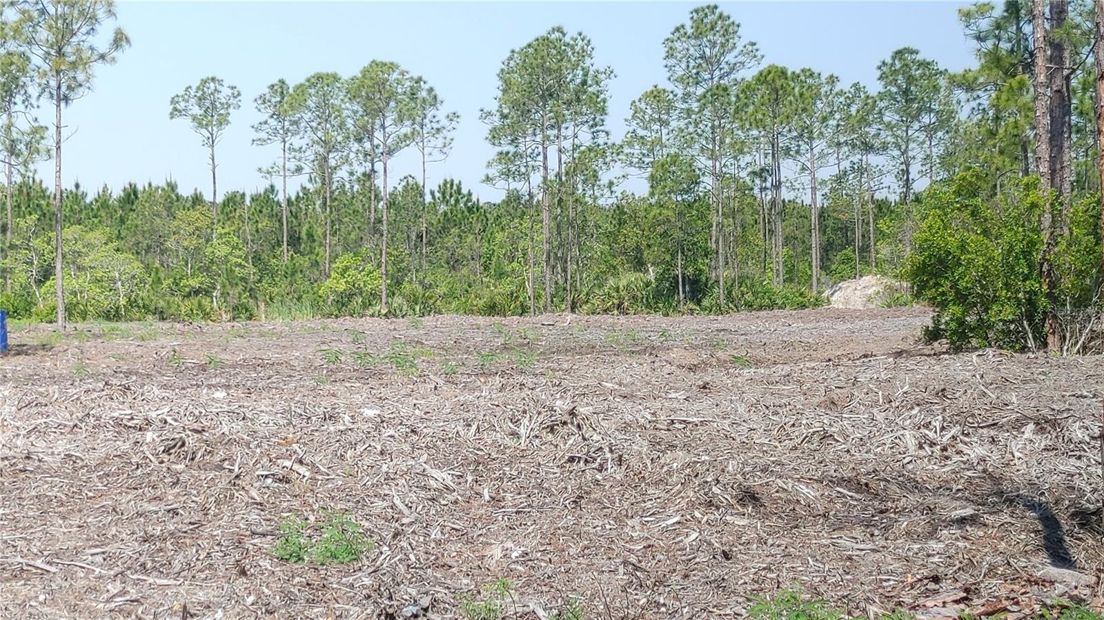 1001 OMEGA RANCH RD #16 — photo 2