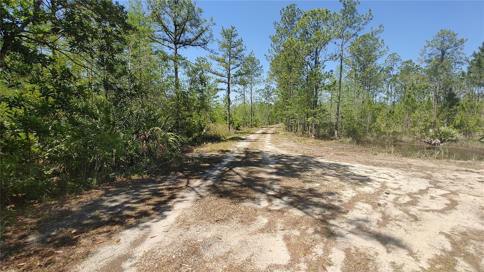 1001 OMEGA RANCH RD #16 — photo 11