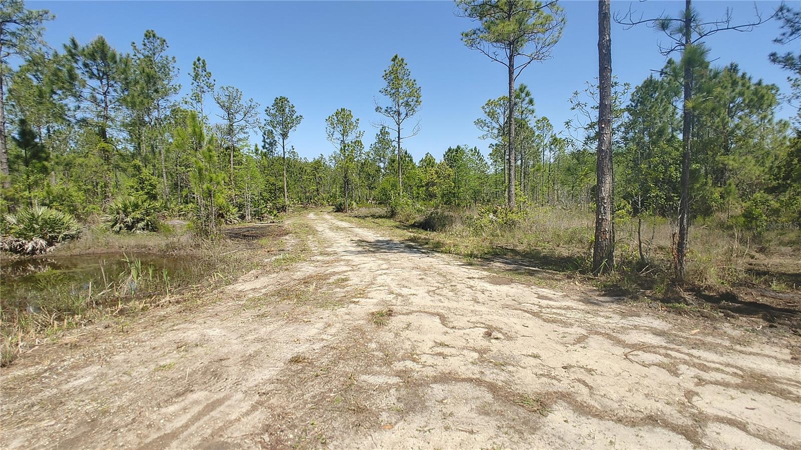 1001 OMEGA RANCH RD #16 — photo 12