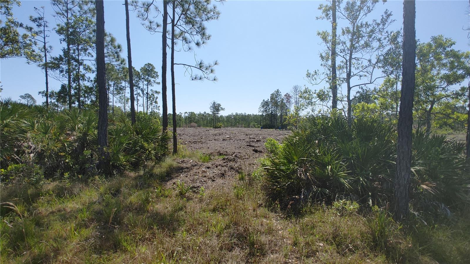 1001 OMEGA RANCH RD #16 — photo 4