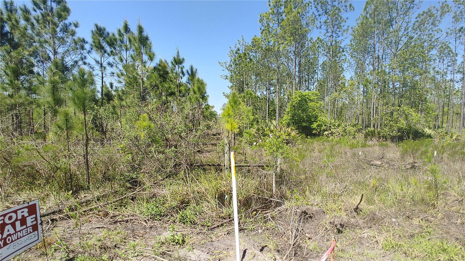 1001 OMEGA RANCH RD #16 — photo 9