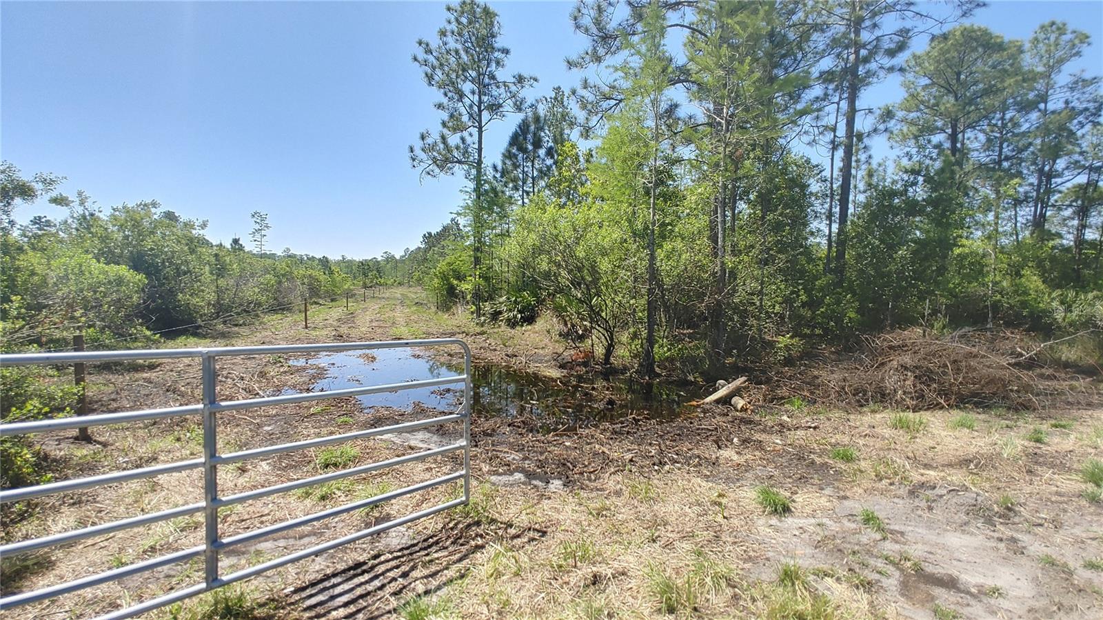 1001 OMEGA RANCH RD #16 — photo 10