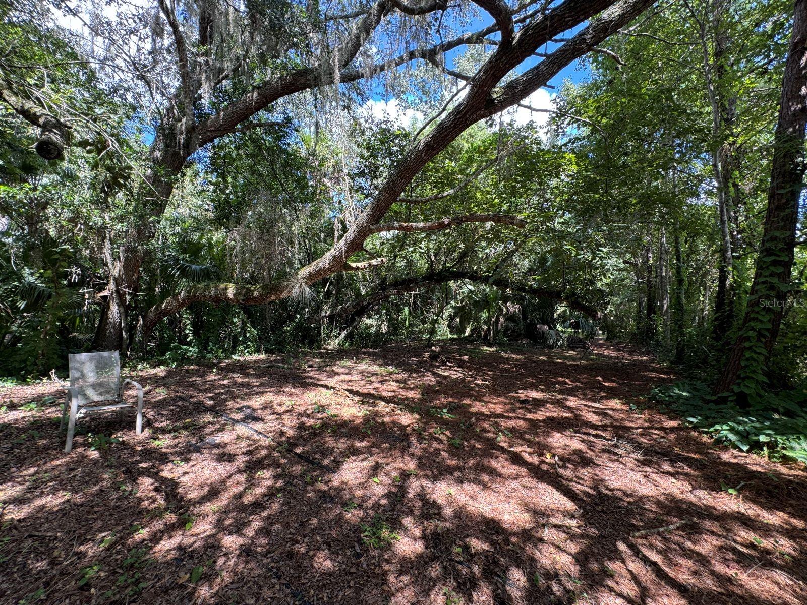 MECCA HAMMOCK TRL — photo 12