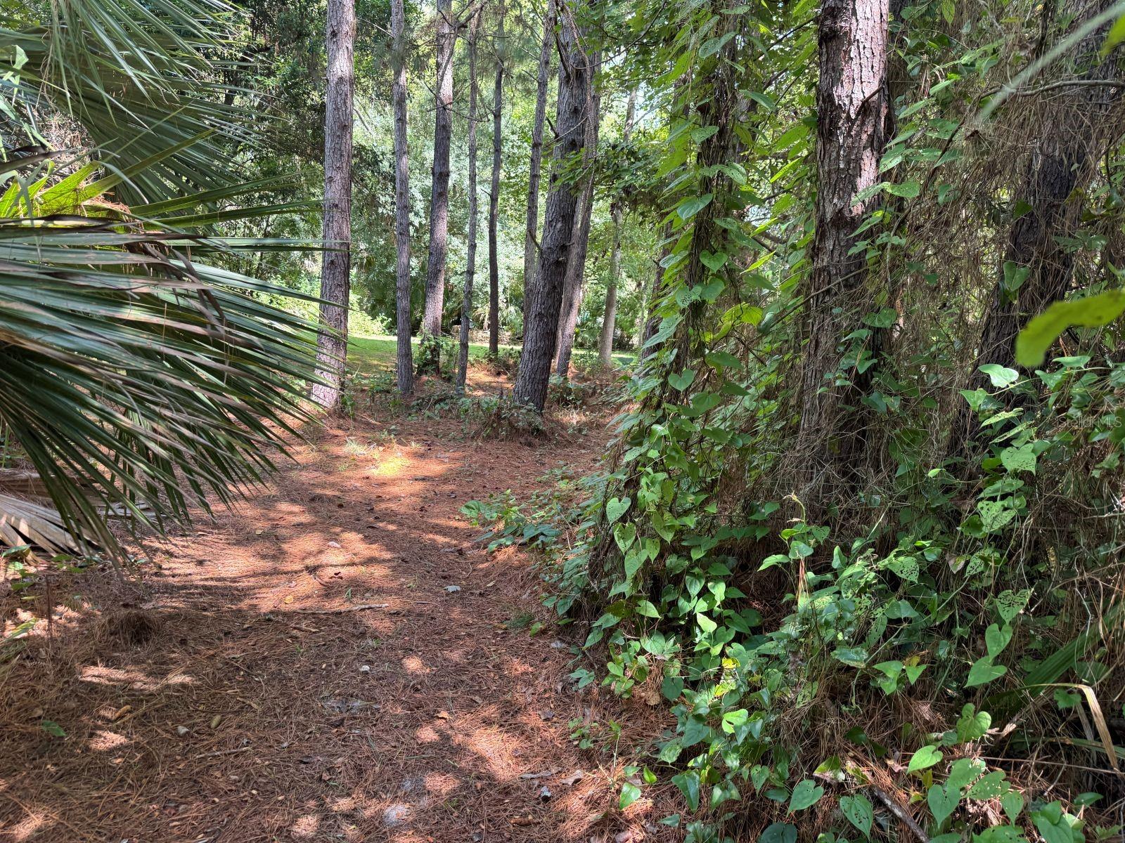 MECCA HAMMOCK TRL — photo 10