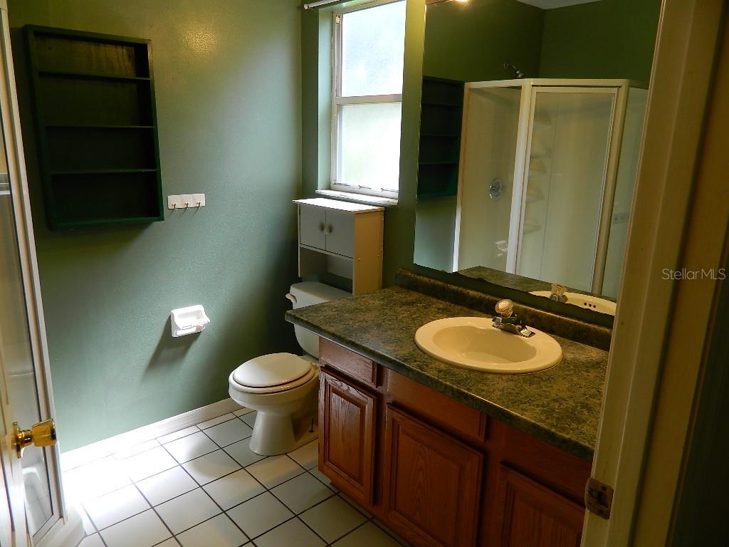 317 SILVER PINE DR — photo 11