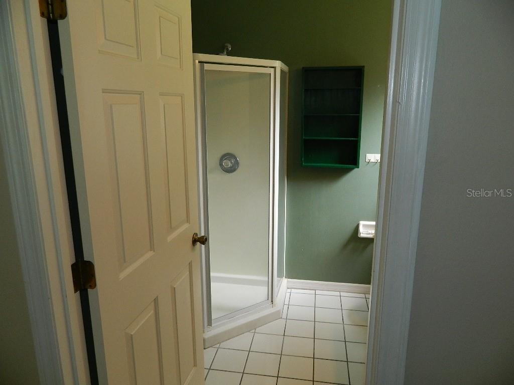 317 SILVER PINE DR — photo 12