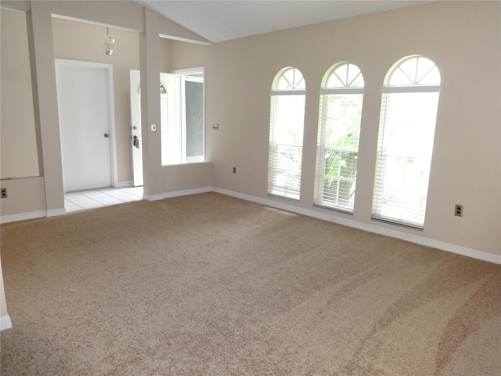317 SILVER PINE DR — photo 3