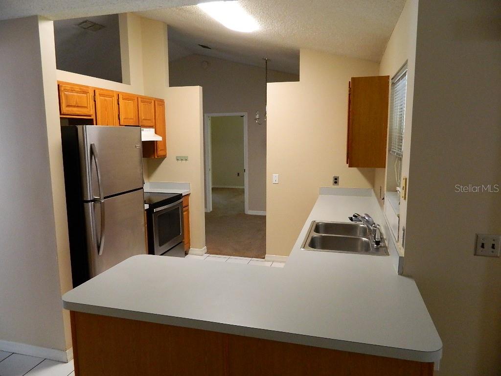 317 SILVER PINE DR — photo 6