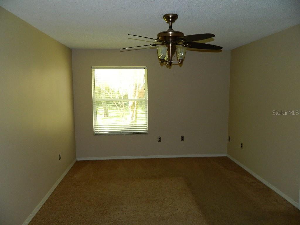 317 SILVER PINE DR — photo 10