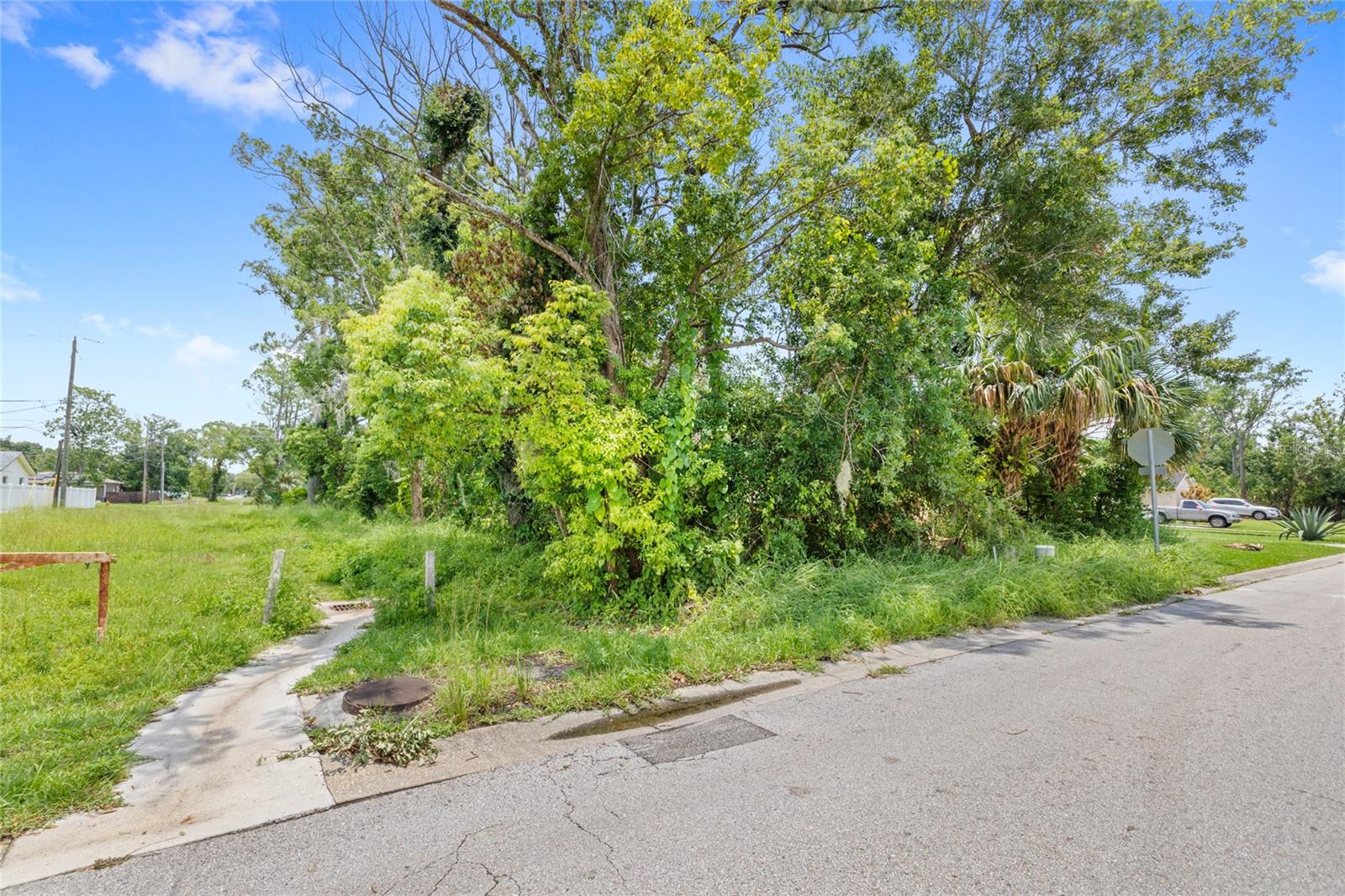 101 HARTWELL AVE — photo 2