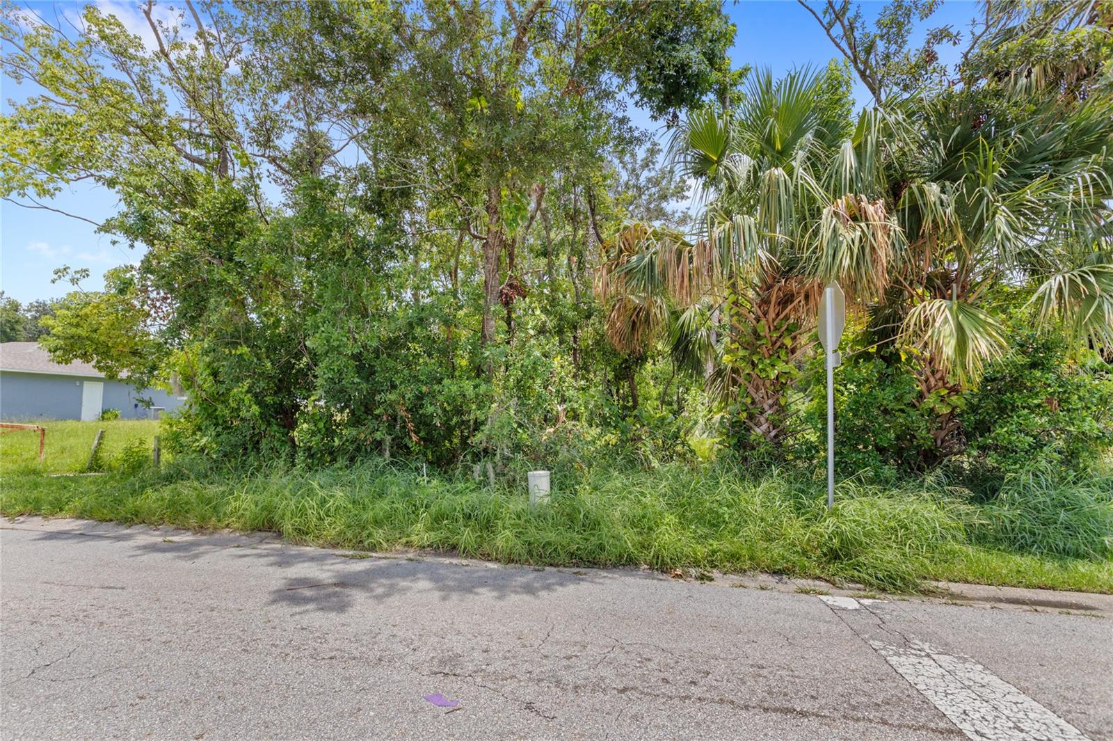 101 HARTWELL AVE — photo 4