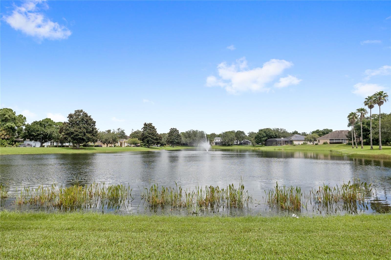 6938 SYLVAN WOODS DR — photo 3