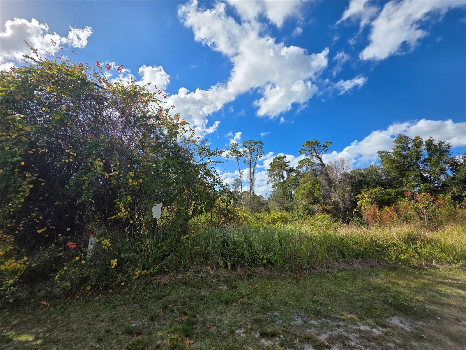 520 W KINGWAY DR — photo 2