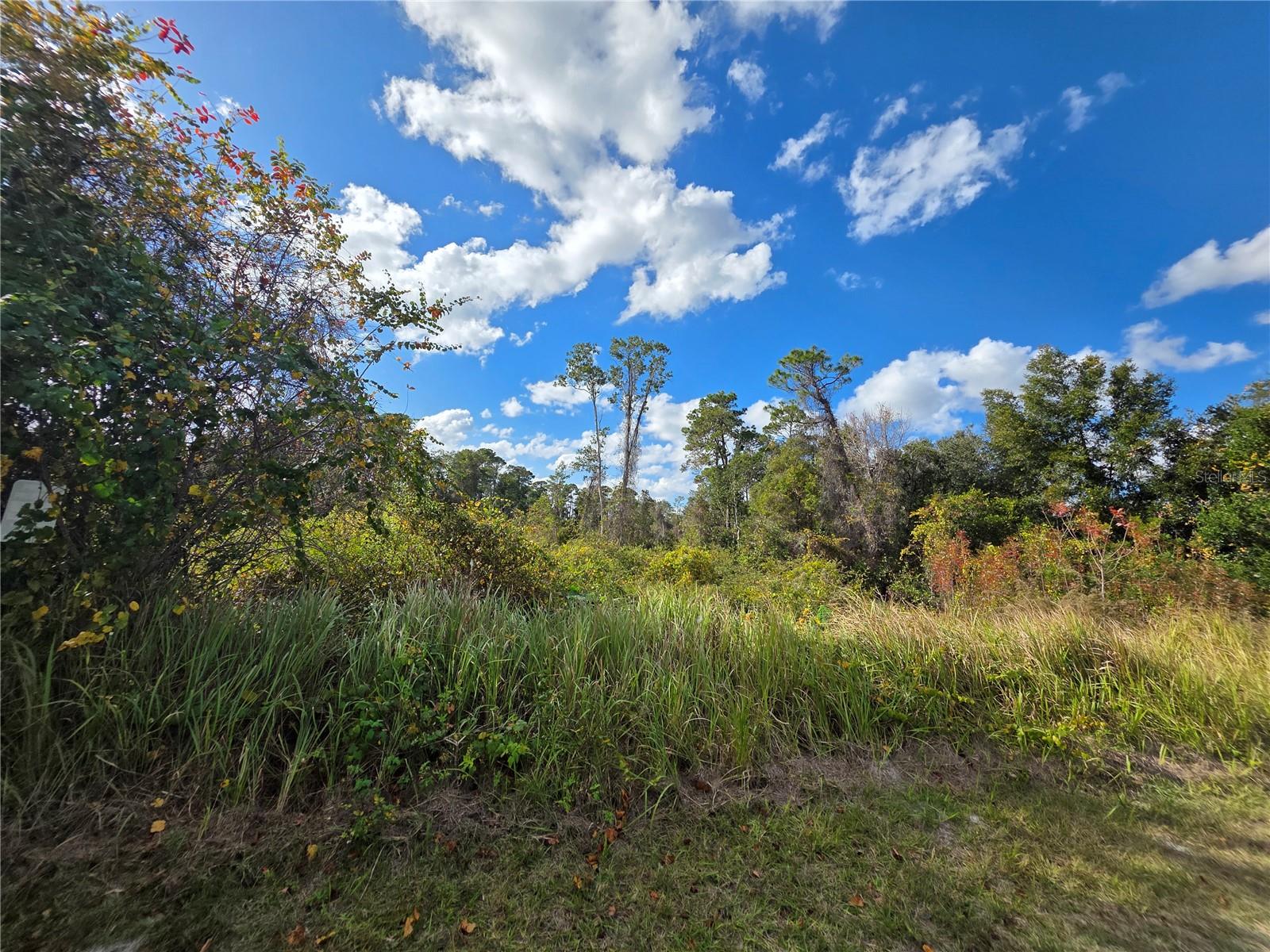 520 W KINGWAY DR — photo 3