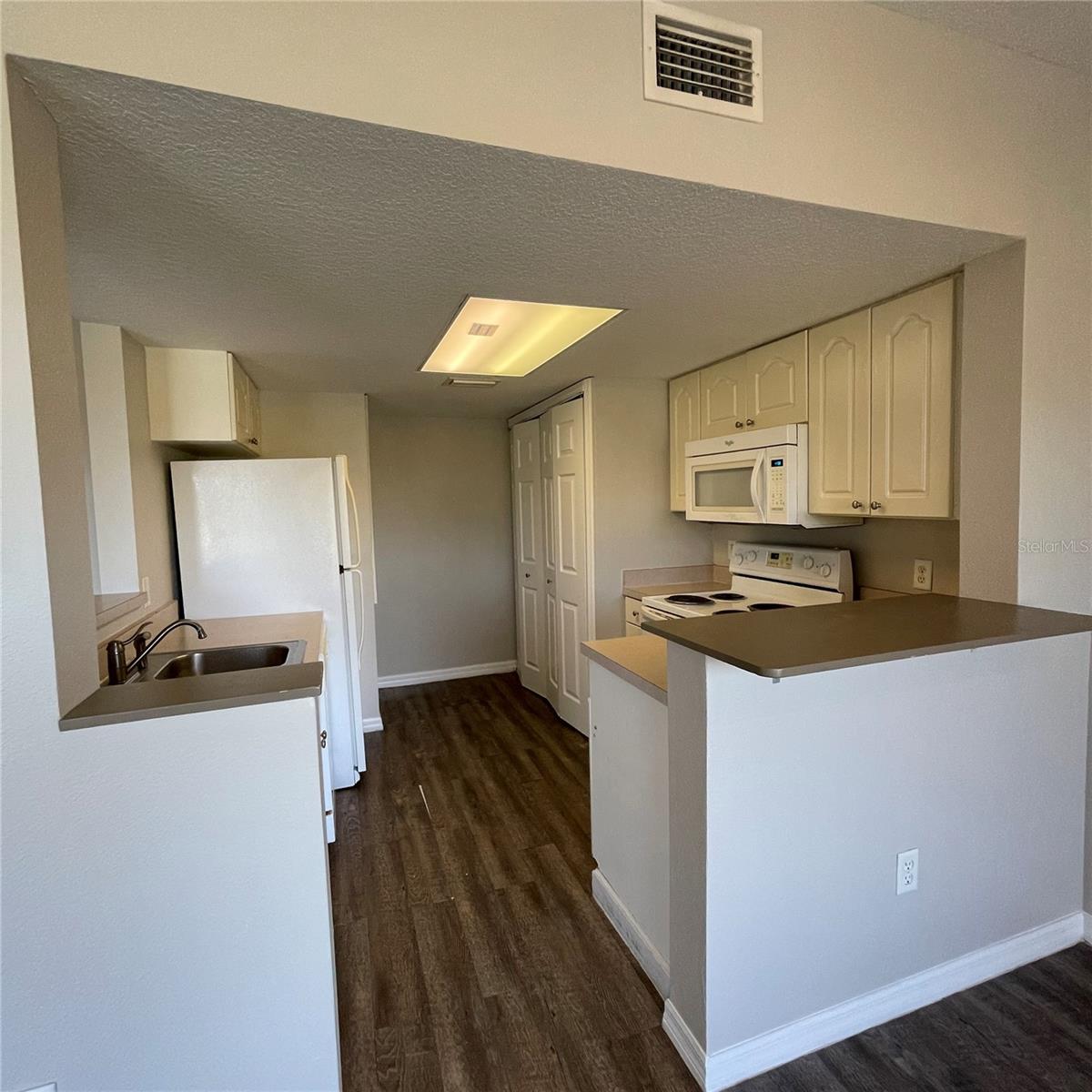 621 WASHINGTON PALM LOOP — photo 3