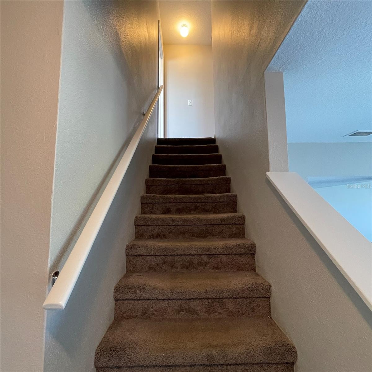 621 WASHINGTON PALM LOOP — photo 9