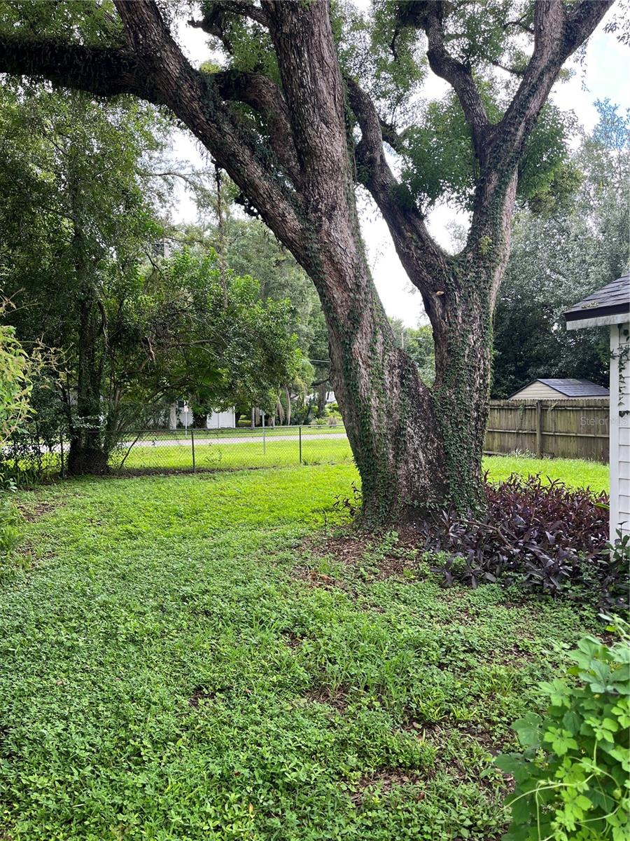 1507 WISE AVE — photo 3