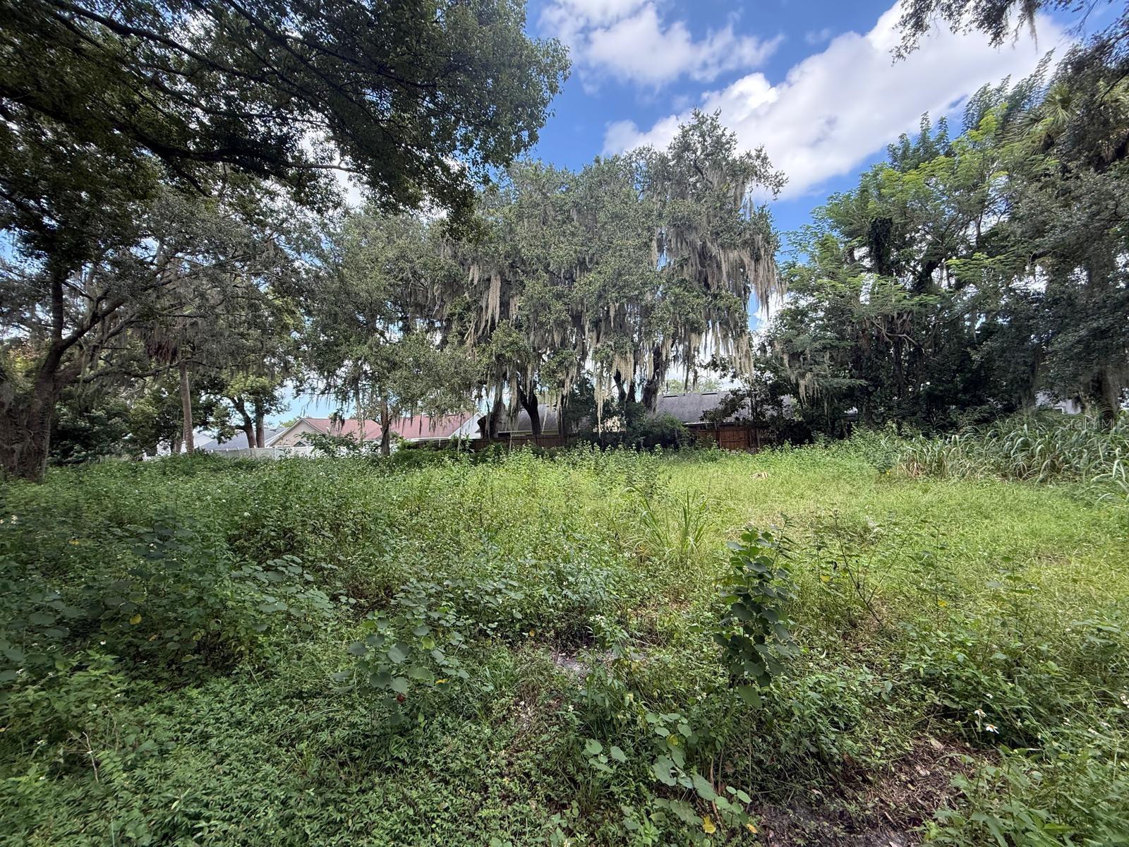 226 JONES AVE — photo 5