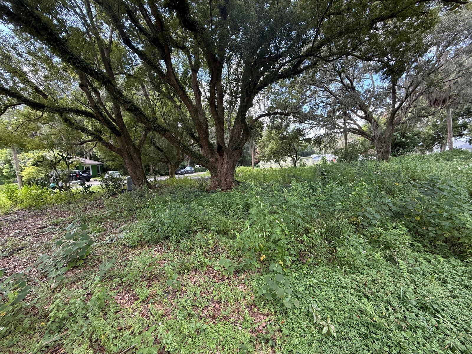 226 JONES AVE — photo 7
