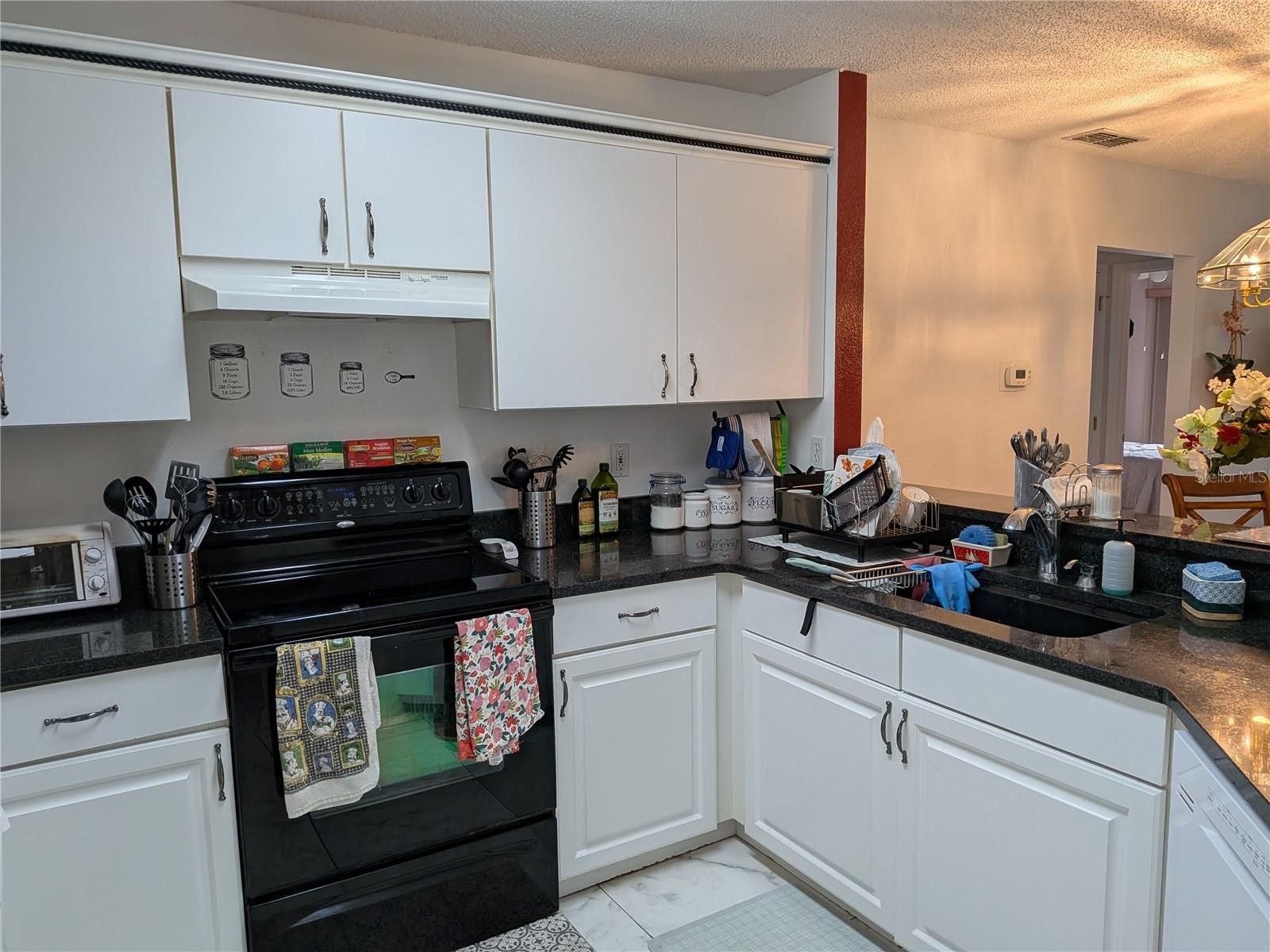 3805 DOUNE WAY — photo 8