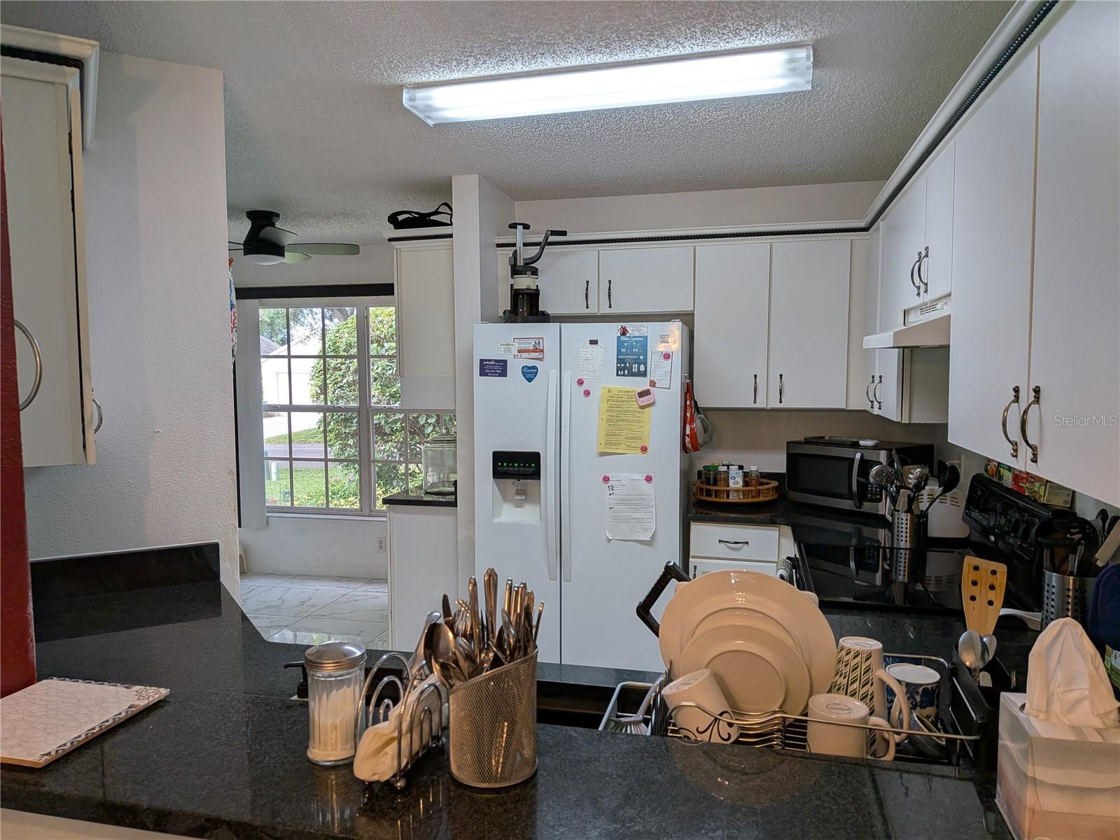 3805 DOUNE WAY — photo 9