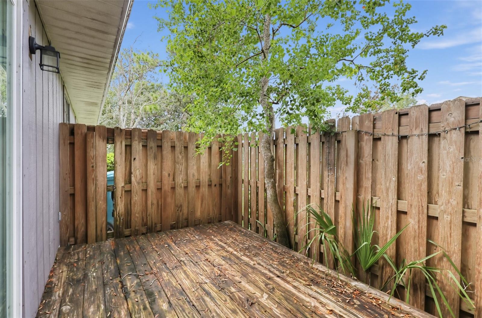 4615 LIGHTHOUSE CIR #116 — photo 5