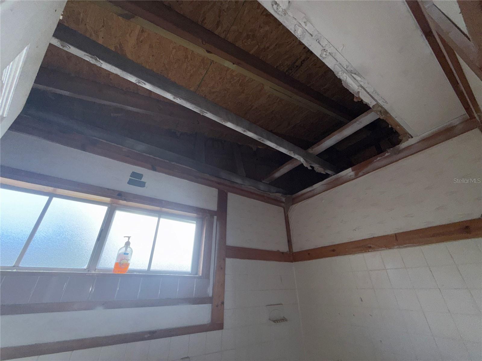18 S PRIMROSE DR — photo 12