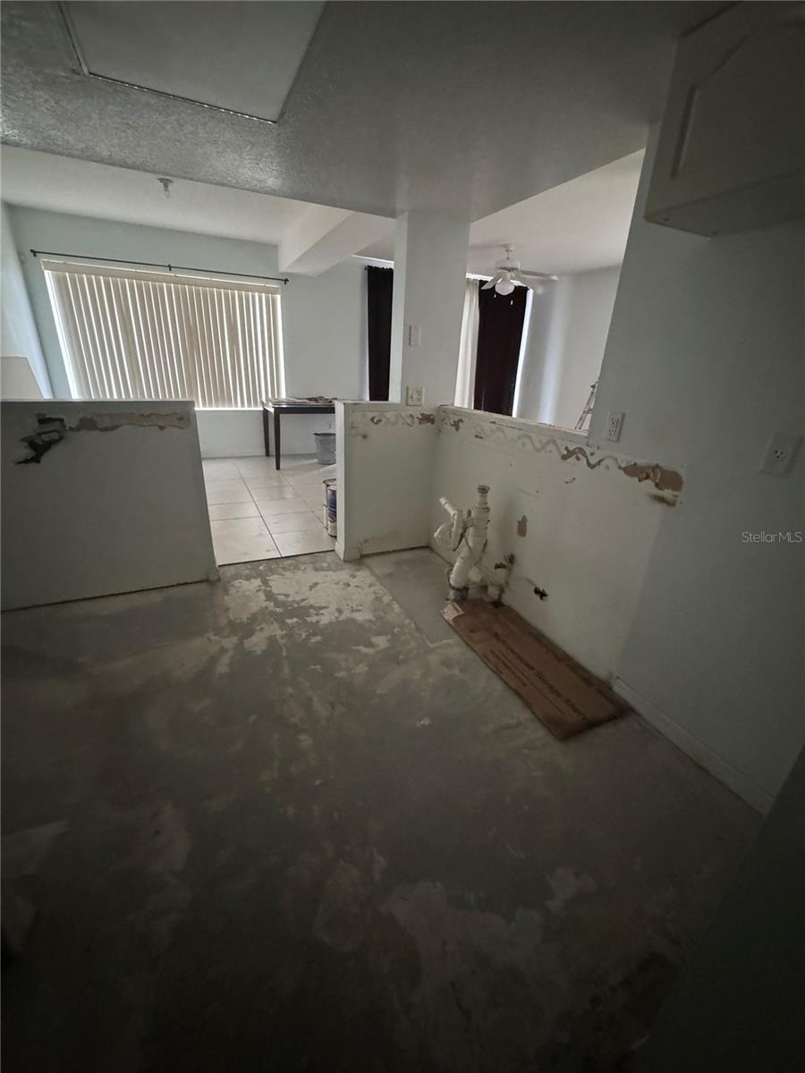 732 WASHINGTON PALM LOOP — photo 11