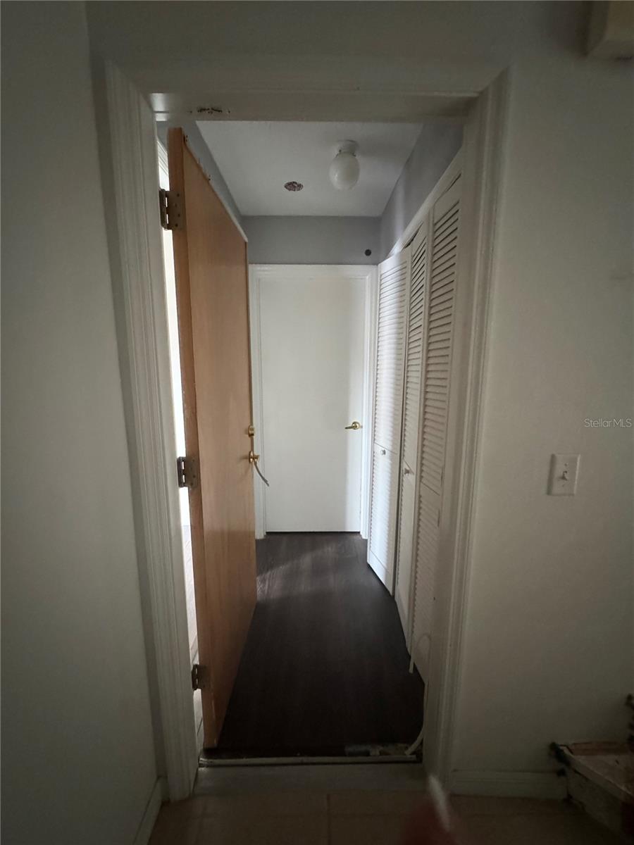 732 WASHINGTON PALM LOOP — photo 9