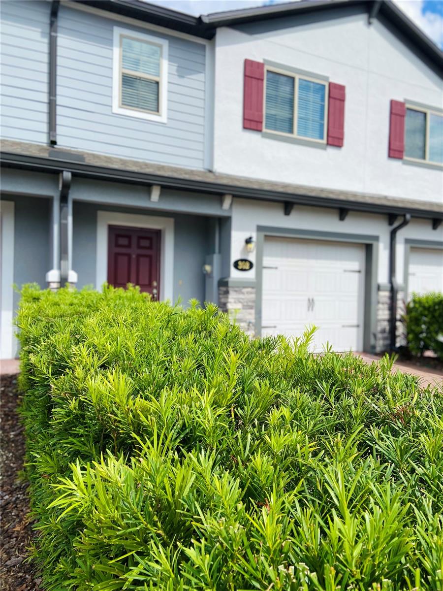 302 CEDAR BARK LN