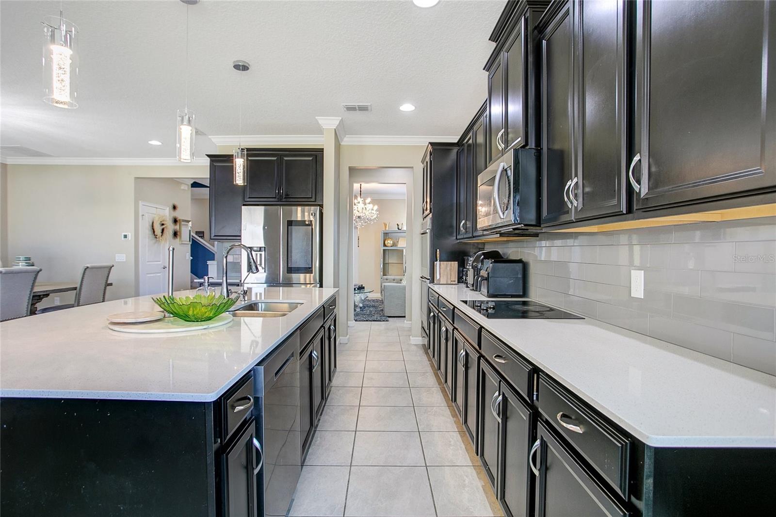 2507 RUSH BAY WAY — photo 9