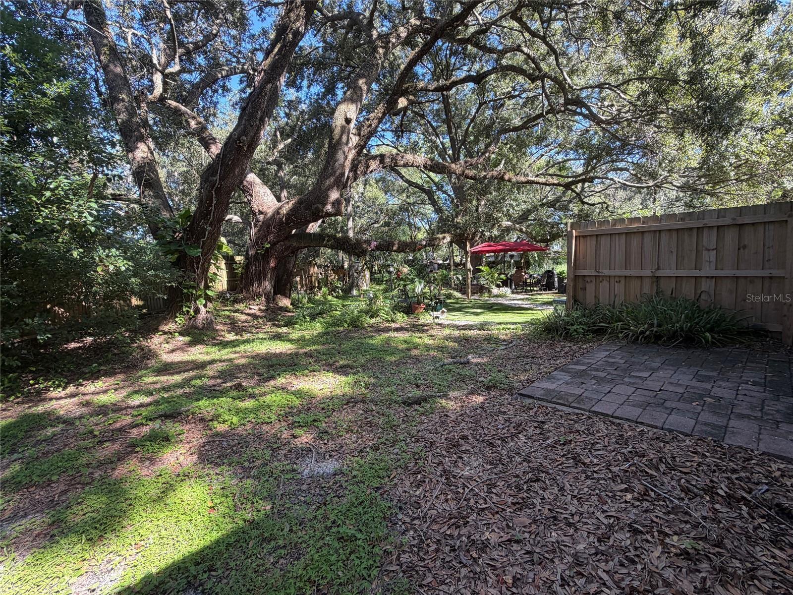 509 VARSITY ST — photo 8