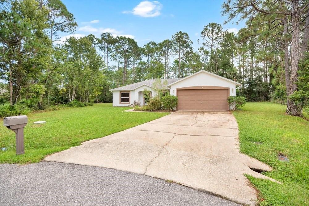 19 ZITHER CT