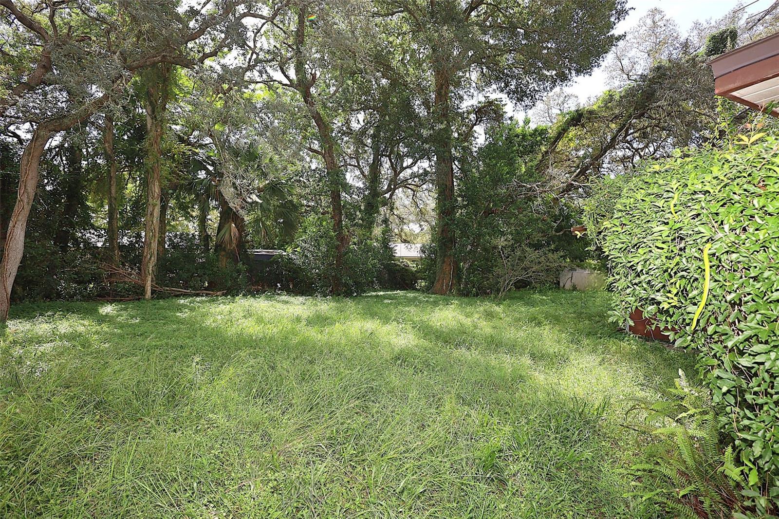 339 COLOMBA RD — photo 6