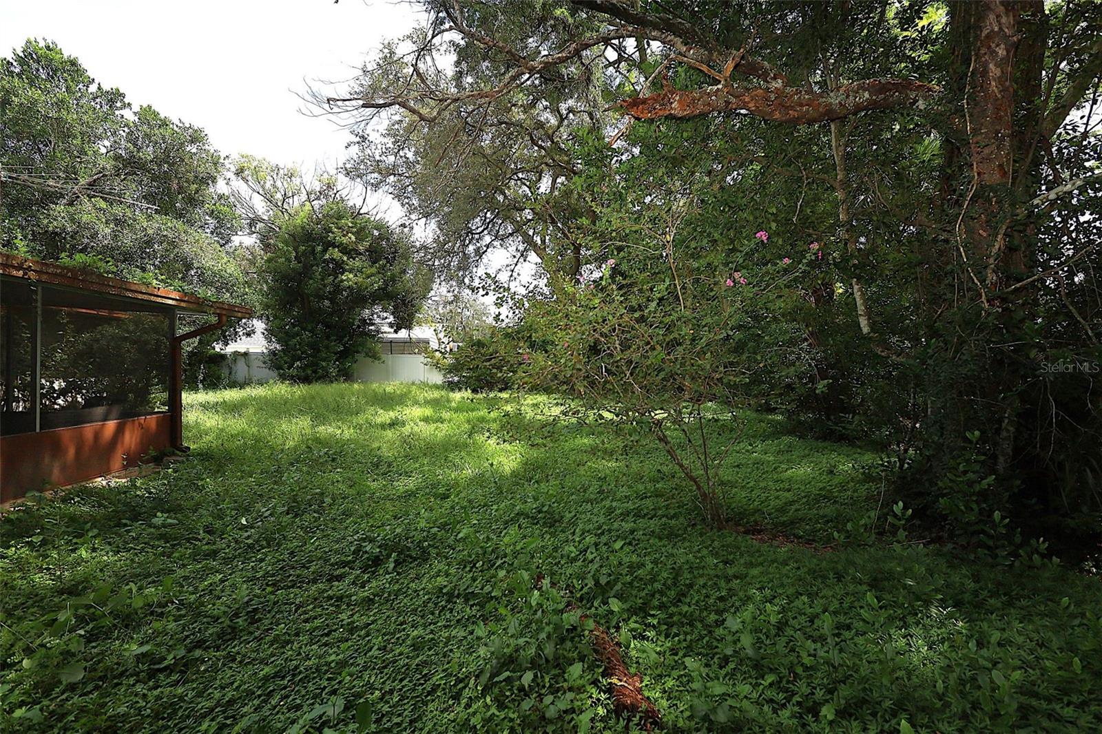 339 COLOMBA RD — photo 10