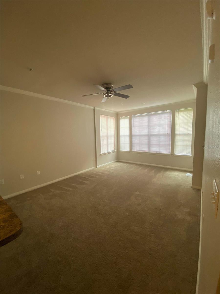 911 N ORANGE AVE #235 — photo 3