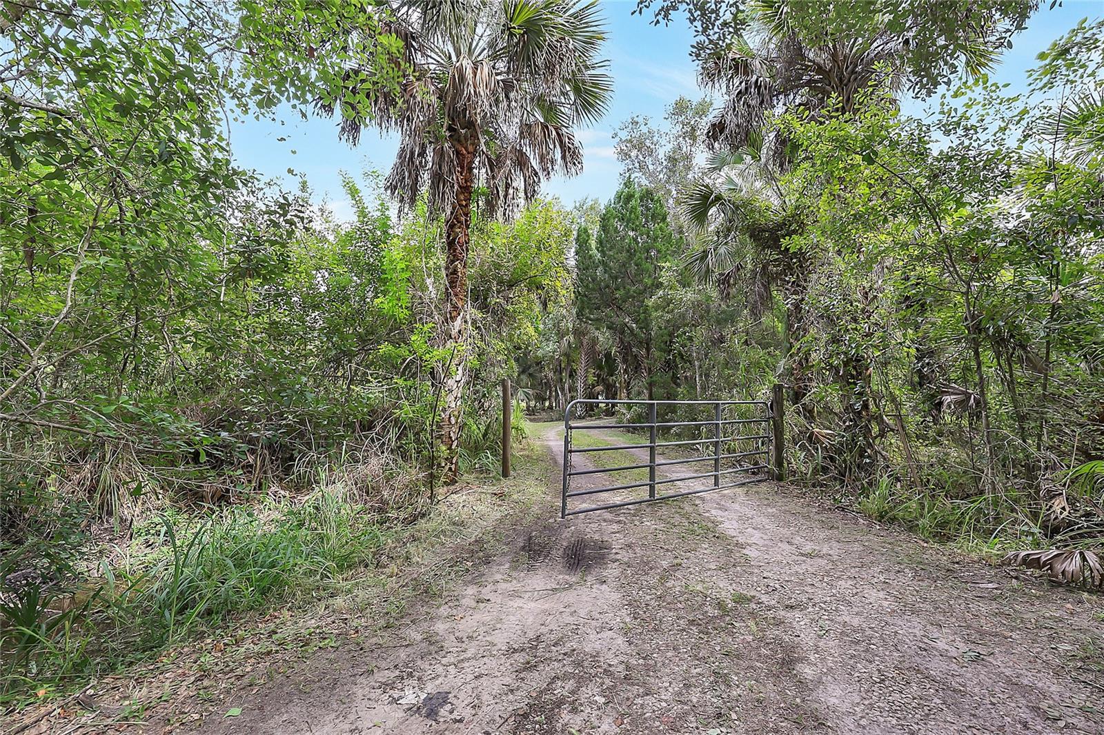 2415 WACCASSA ST — photo 12