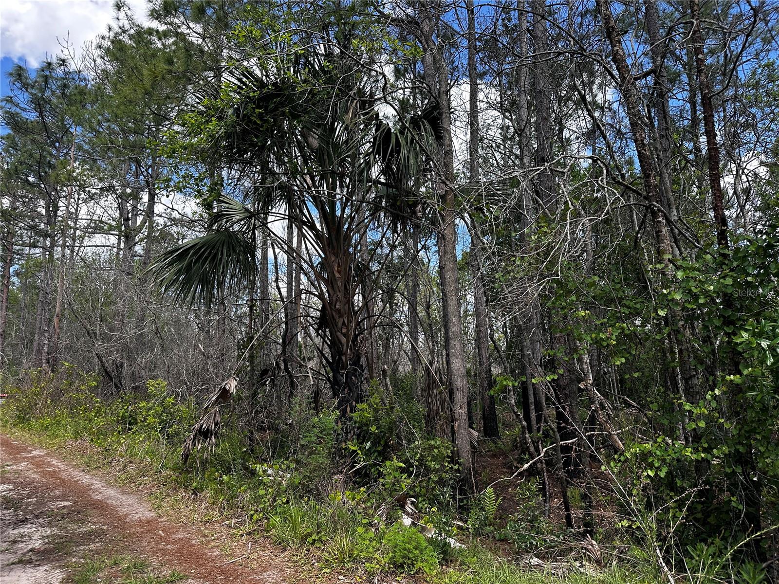 00 KOLA RD — photo 2