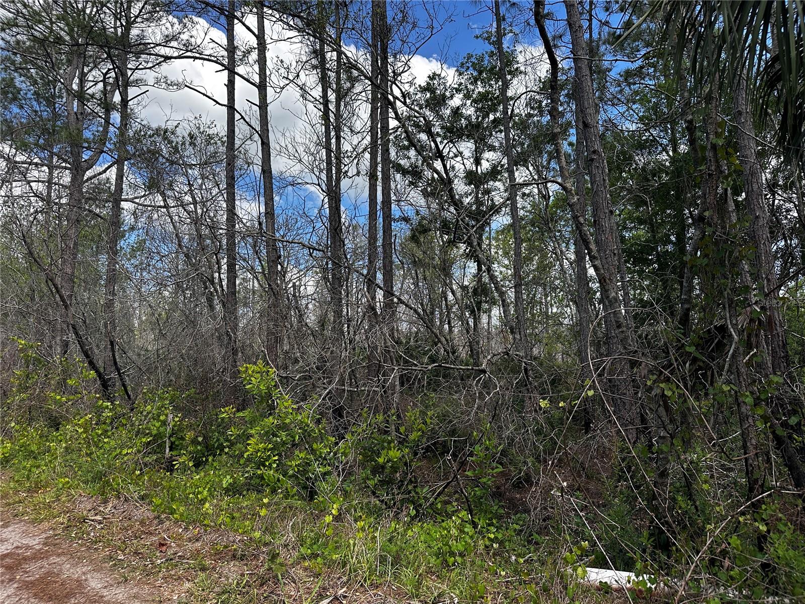 00 KOLA RD — photo 3