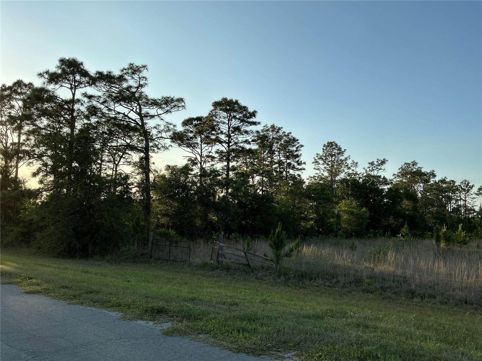 REYNOLDS PKWY — photo 3