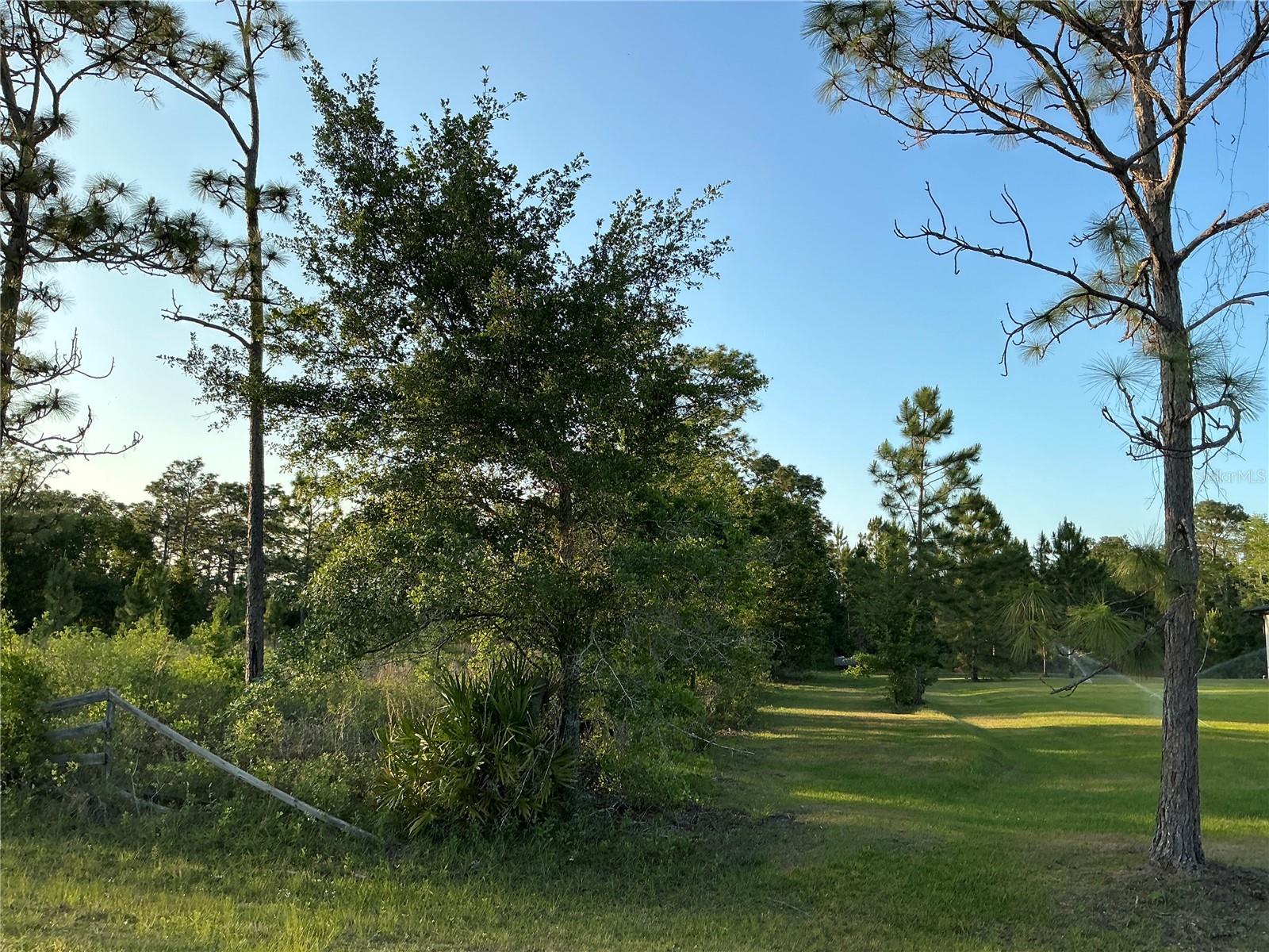 REYNOLDS PKWY — photo 4