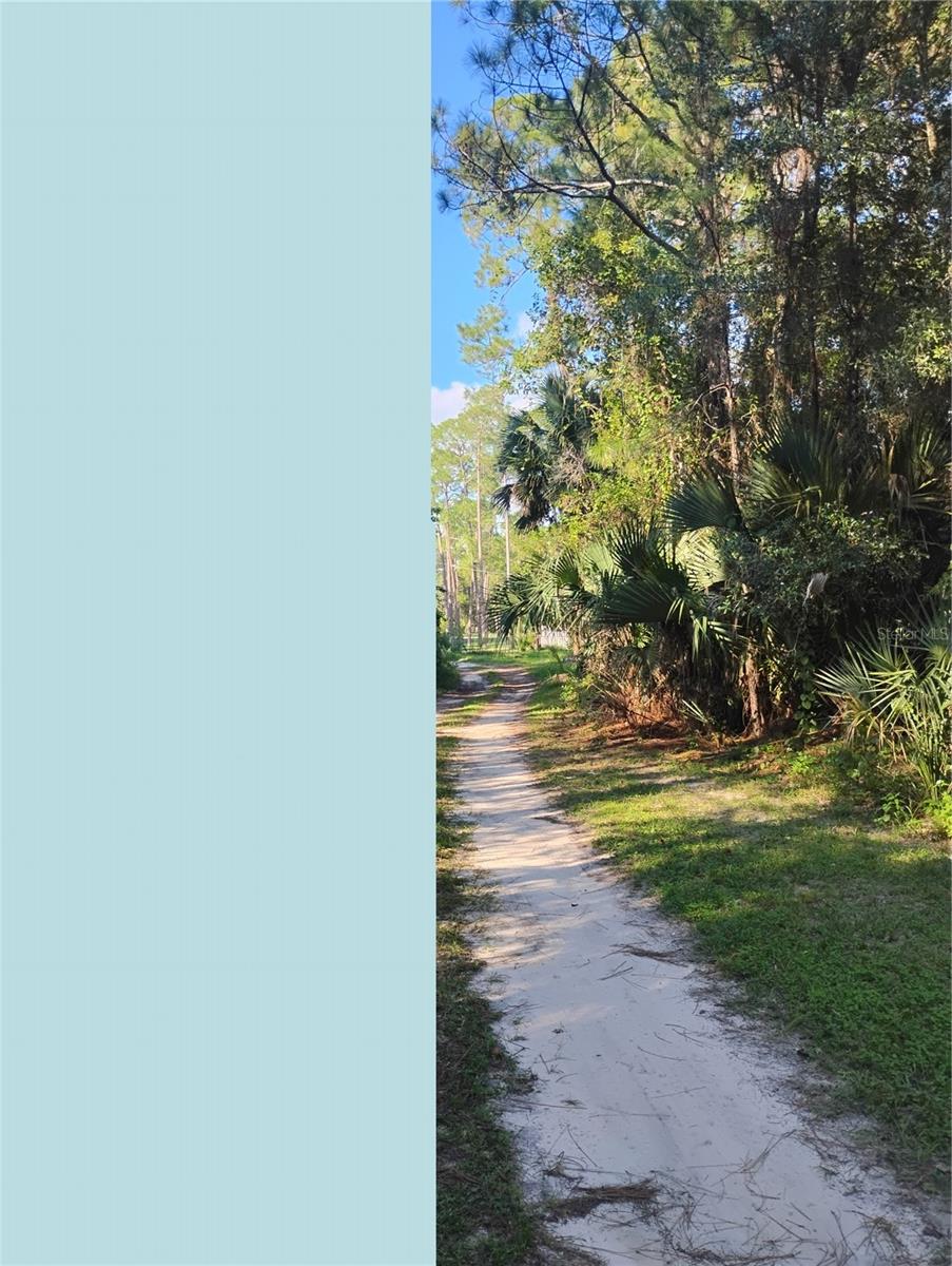 JESSIE AVE — photo 2