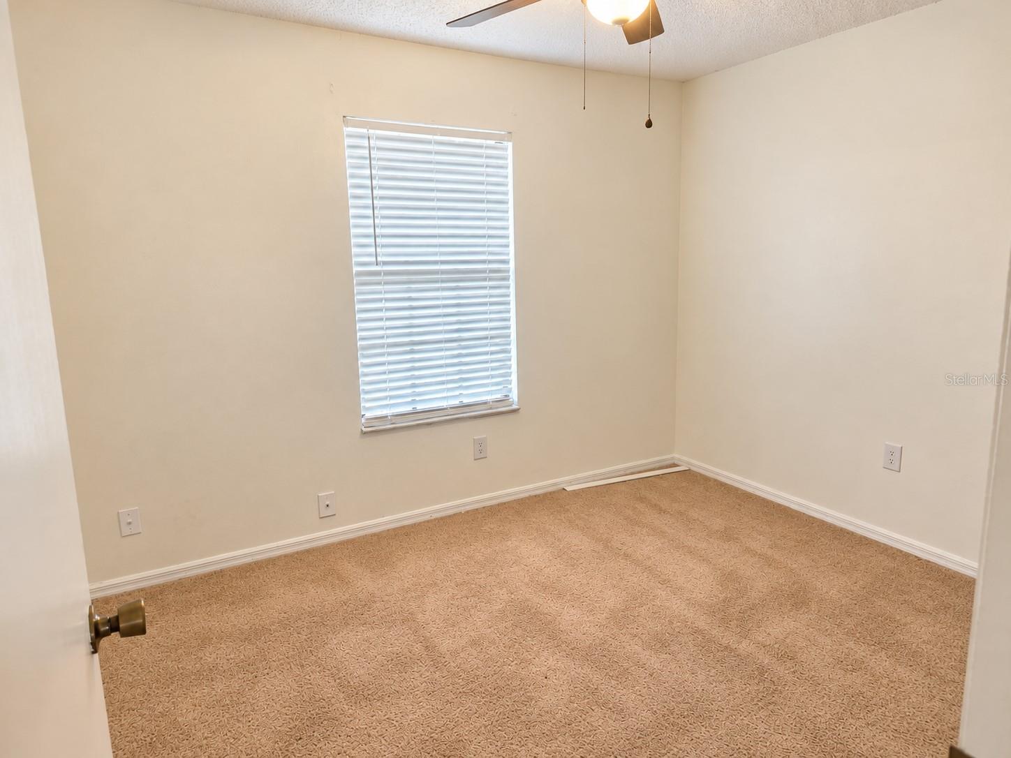 2581 ALBURY AVE — photo 10