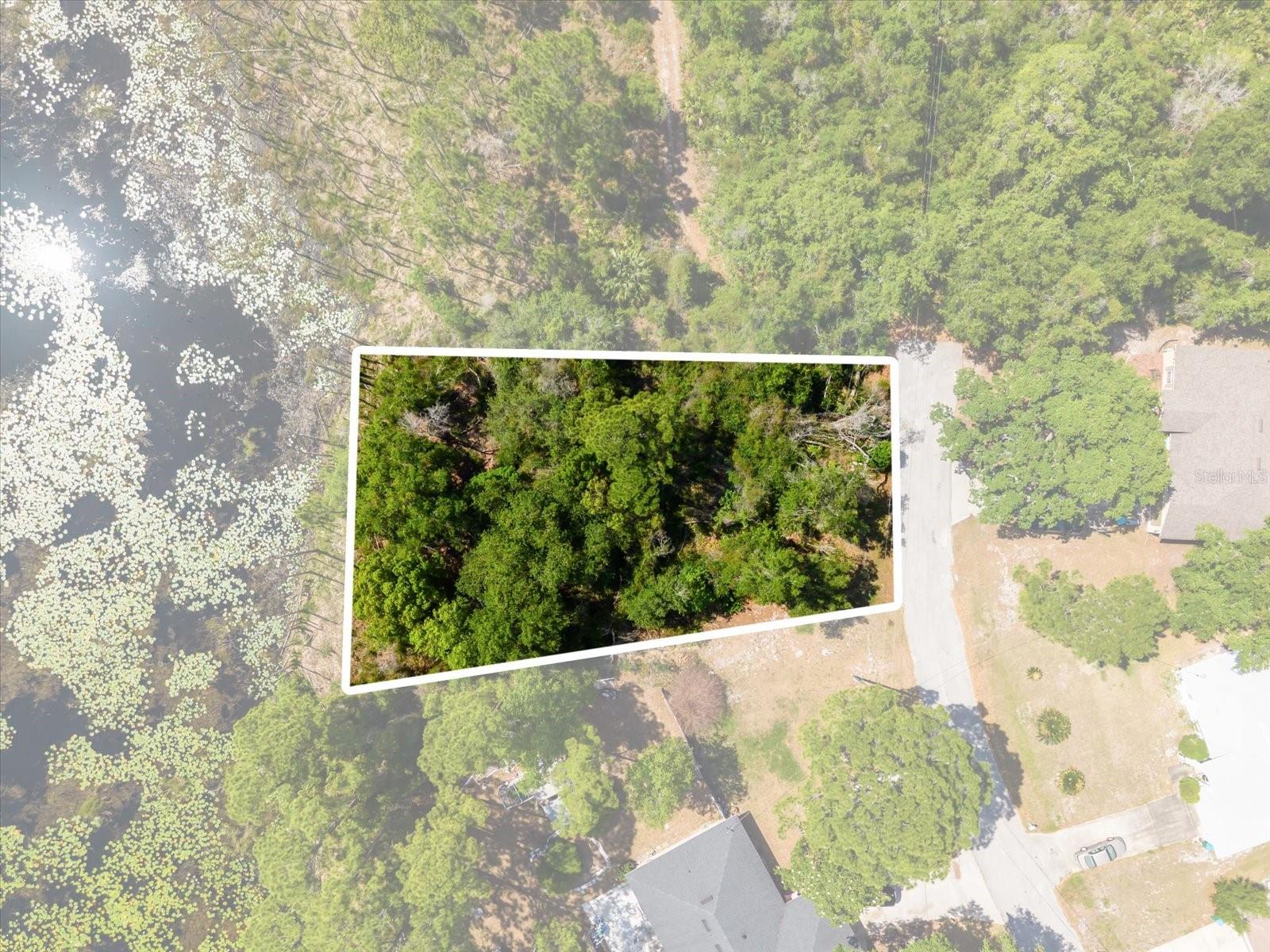 1351 MELSHIRE AVE — photo 4