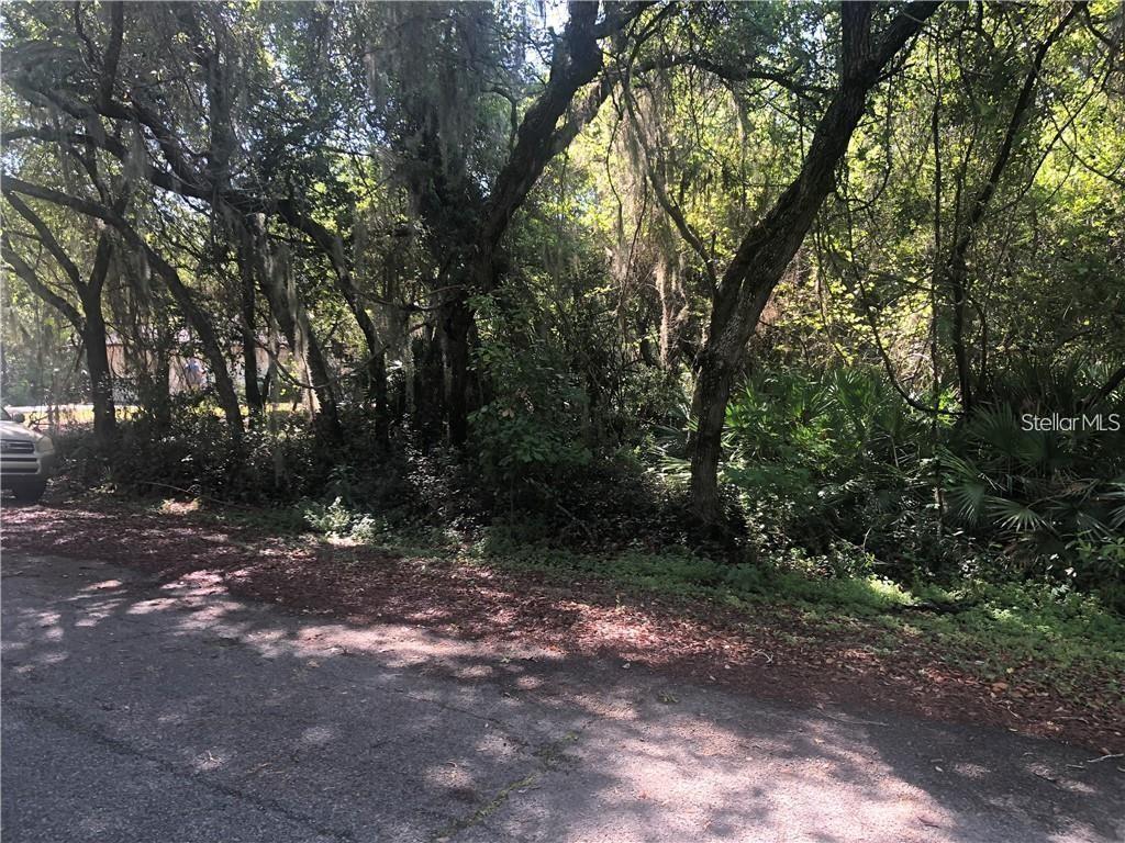 261 TOMS RD — photo 2