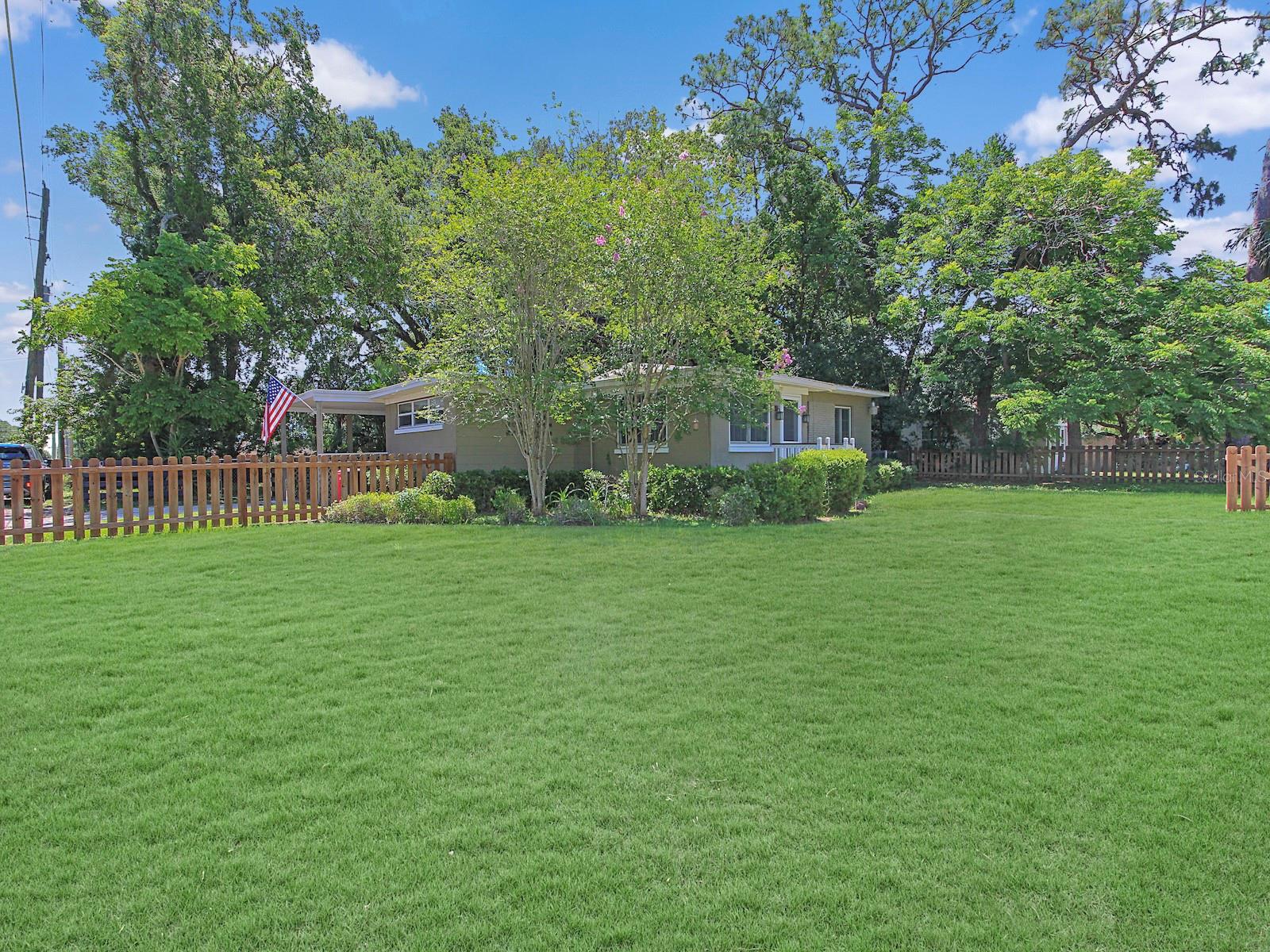 2541 S PALMETTO AVE — photo 4