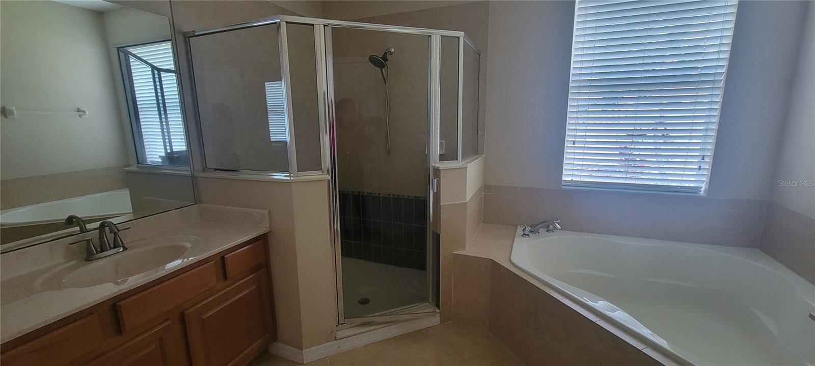9382 MUSTARD LEAF DR — photo 8