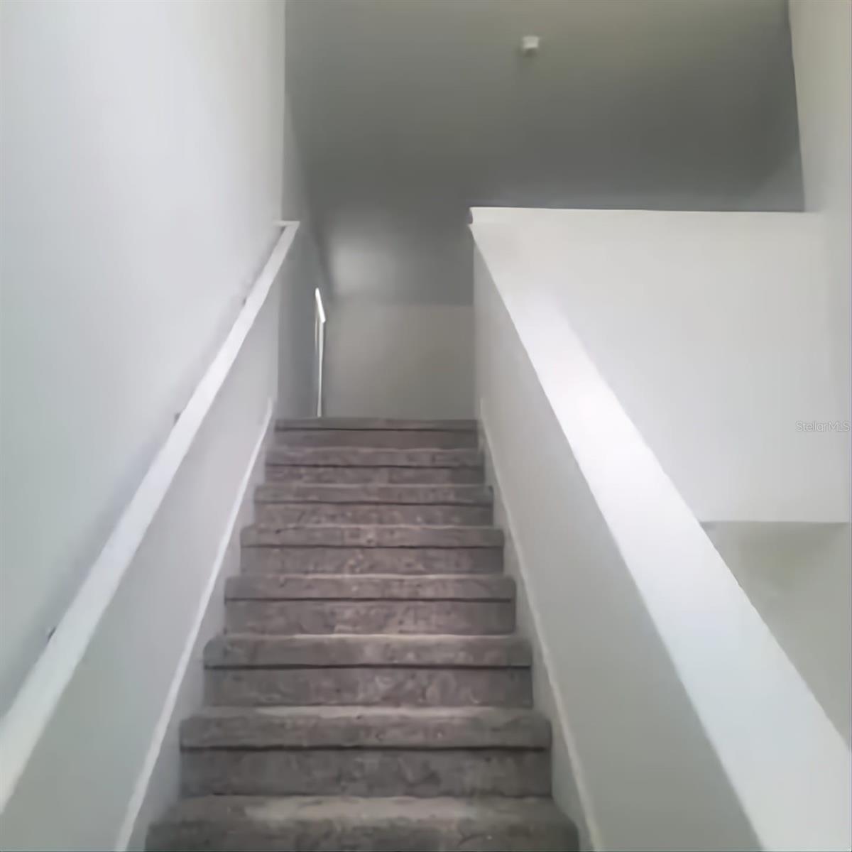 4218 MOUNTAIN LAUREL LN — photo 2