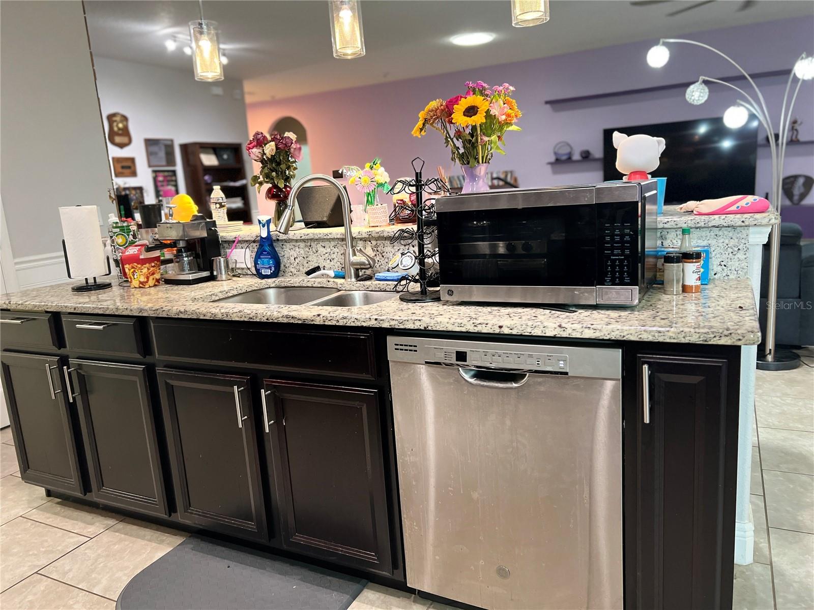 1435 DAYSTAR LN — photo 9