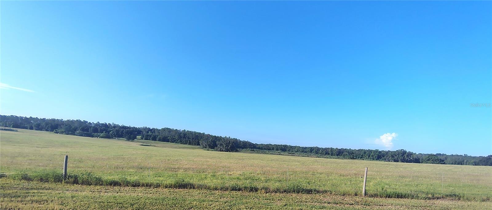 COVINGTON RD — photo 8